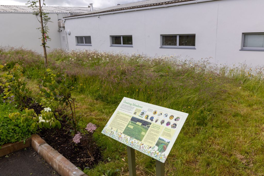 Signage design at the opening of the Biodiversity Garden at the Laois Educational Centre, Portlaoise.