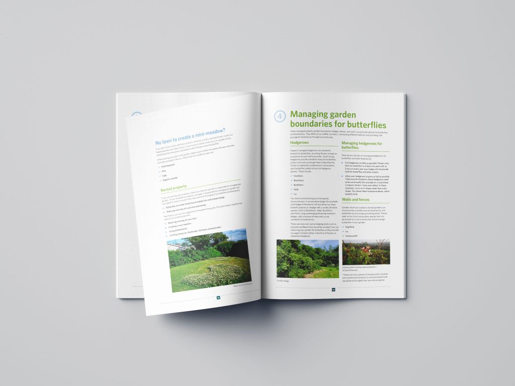 Gardening for Butterflies Handbook Design