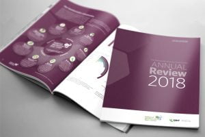 Annual Report Design