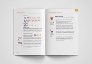 Waterford CIty & County Council Annual Report 2019 Layout Infographic