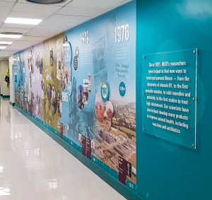 Wall Graphics