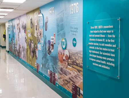 Wall Graphics