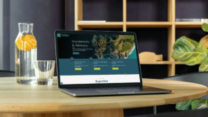 Talav Investments website design
