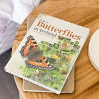 Atlas of Butterflies in Ireland 2010 - 2021