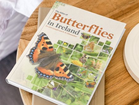 Atlas of Butterflies in Ireland 2010 - 2021