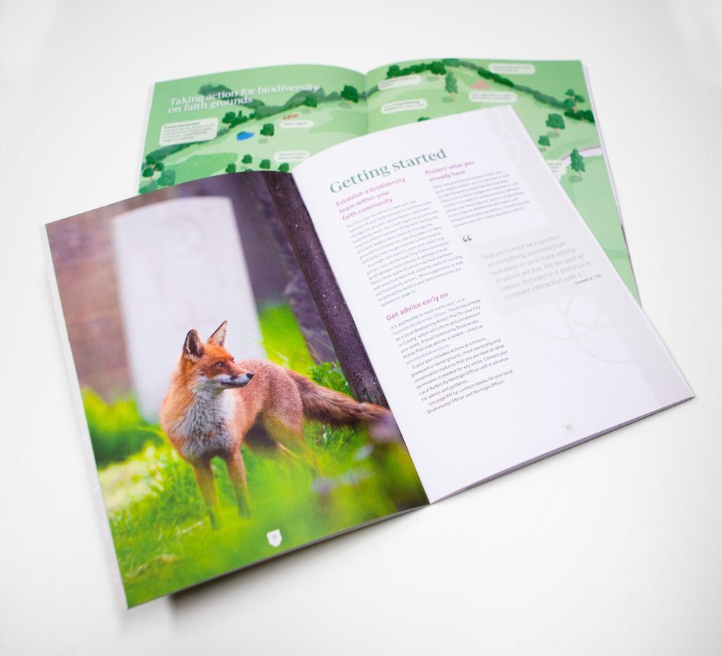 Havens for Nature Booklet Design