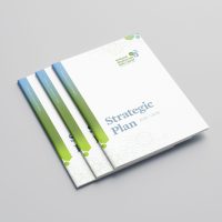 NGO Strategic Plan Design