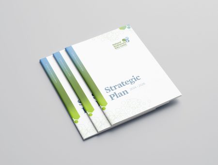 NGO Strategic Plan Design