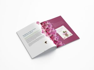 All Ireland Pollinator Plan Design