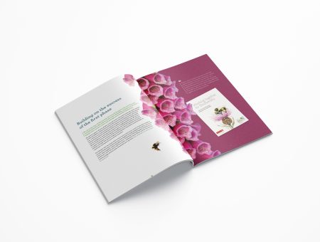 All Ireland Pollinator Plan Design