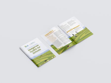 Hedgerow Toolkit for Schools Design
