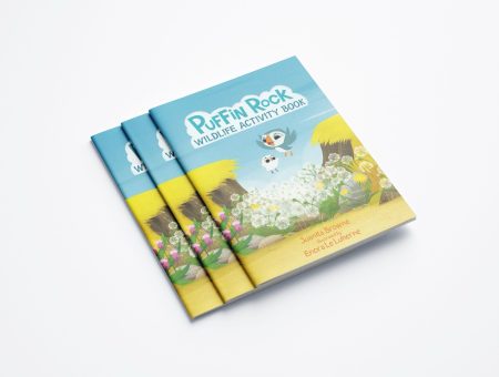 Puffin Rock Wildlife Activity Book Graphic Design Project